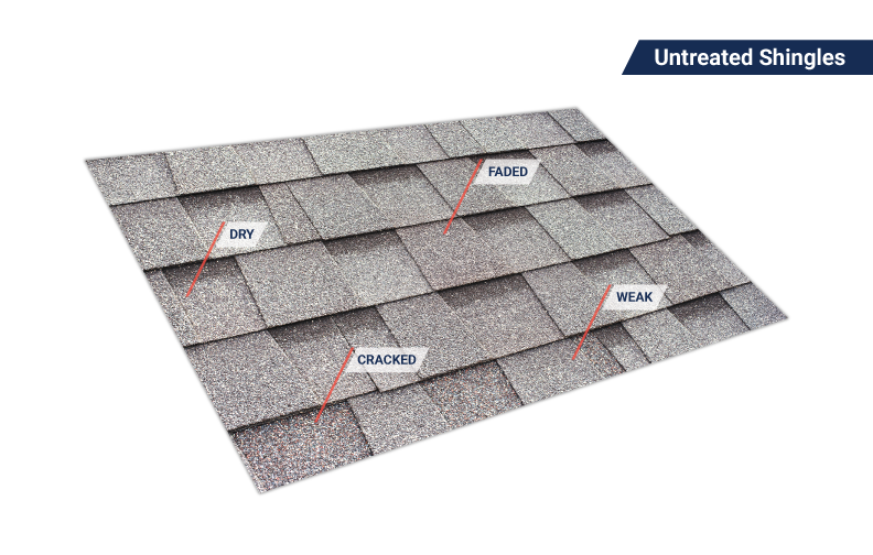 Untreated Roof Problems